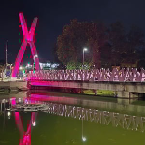 Xalapa - Underrated Town In Mexico by David