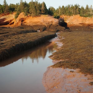More Low Tide by Jeremy