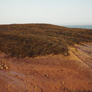More Low Tide by Jeremy