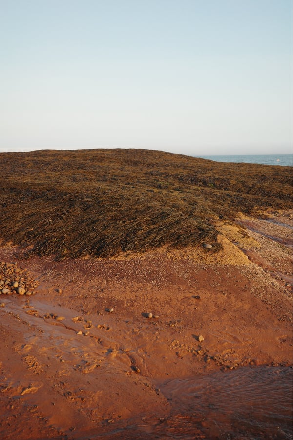Más marea baja, Canadá