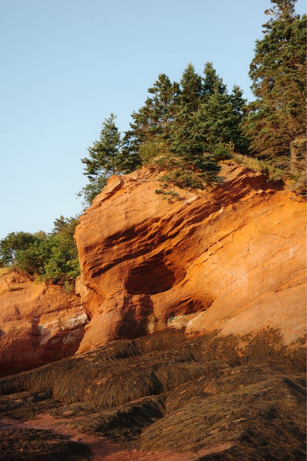 Más marea baja, Canadá