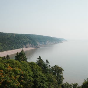 Fundy Provincial Park by Jeremy