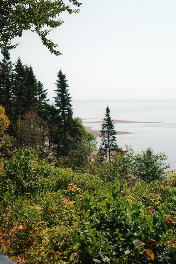More Views, Canada
