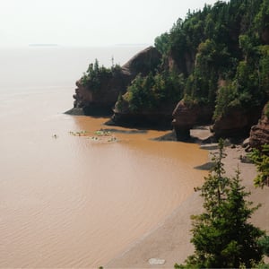 Hopewell Rocks Provincial Park by Jeremy