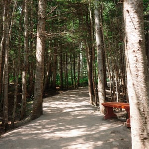 Hopewell Rocks Provincial Park by Jeremy