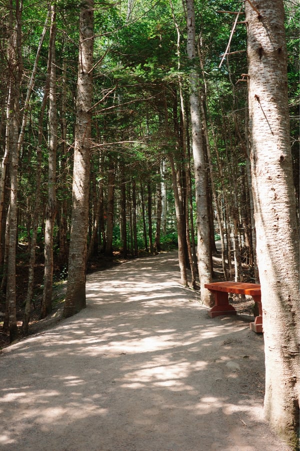 Hopewell Rocks Provincial Park, Canada