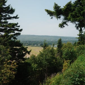 Hopewell Rocks Provincial Park by Jeremy