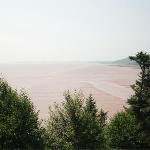 Hopewell Rocks Provincial Park by Jeremy