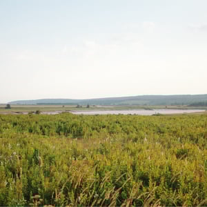 Golden Hour View by Jeremy