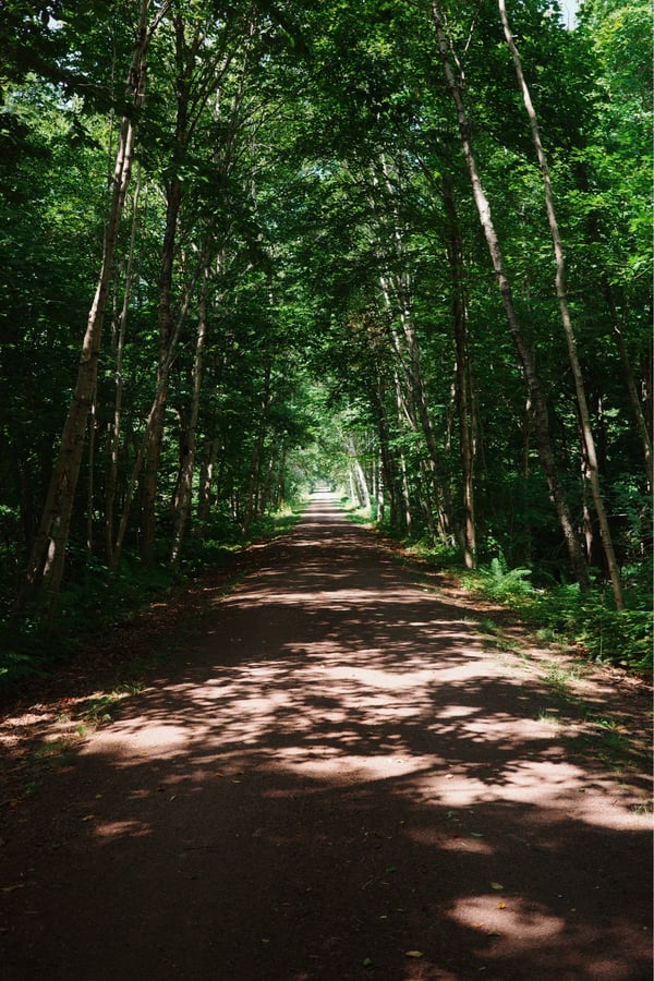 Sombra en el sendero, Canadá