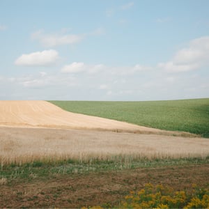 Farmland by Jeremy
