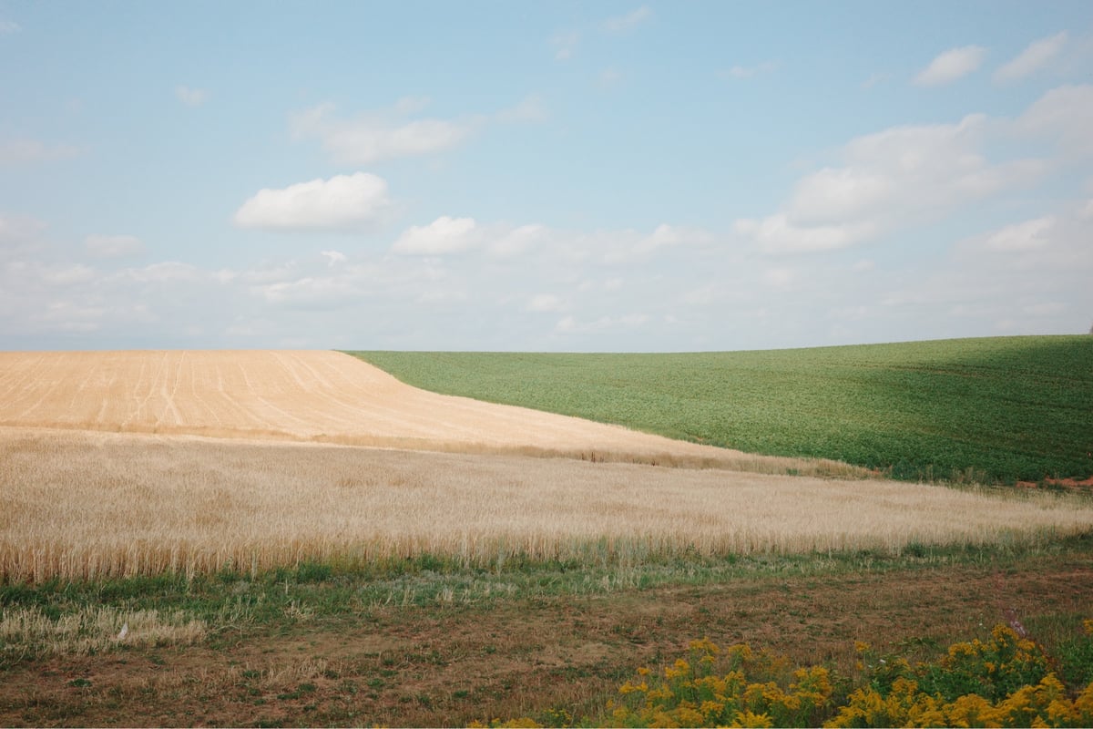 Tierras de cultivo, Canadá