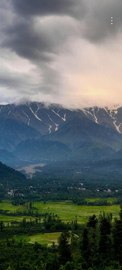 17 Aug 2025 - 11:18, Slovenia