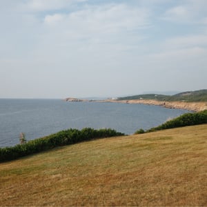 Whale Cove by Jeremy