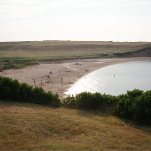Whale Cove by Jeremy