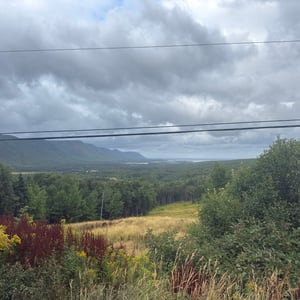 North Harbour View by Jeremy