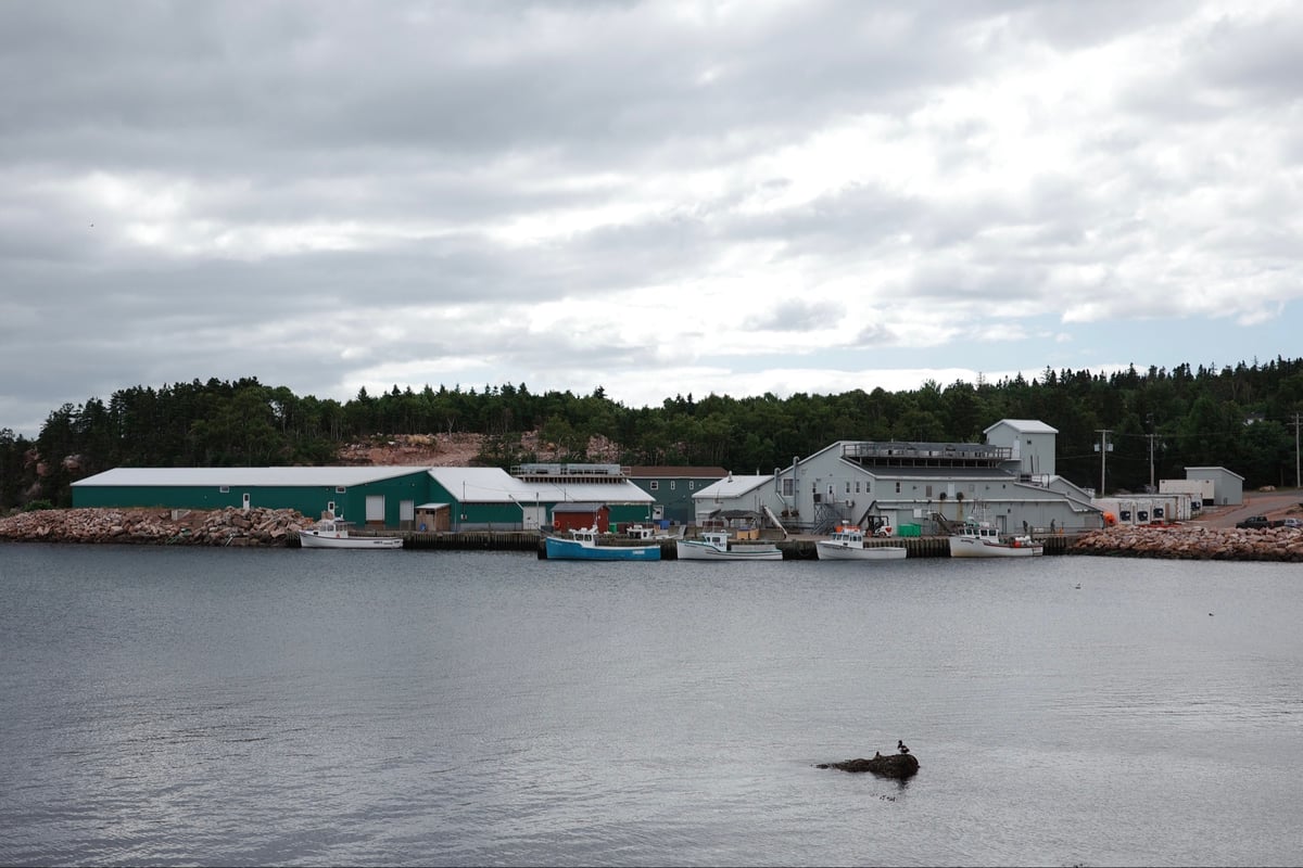 Neil's Harbour, Canada