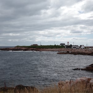 Neil's Harbour by Jeremy