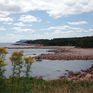 Green Cove by Jeremy