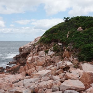 Green Cove by Jeremy