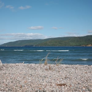 Englishtown Ferry by Jeremy