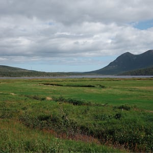 It's Beautiful But Windy Here by Jeremy