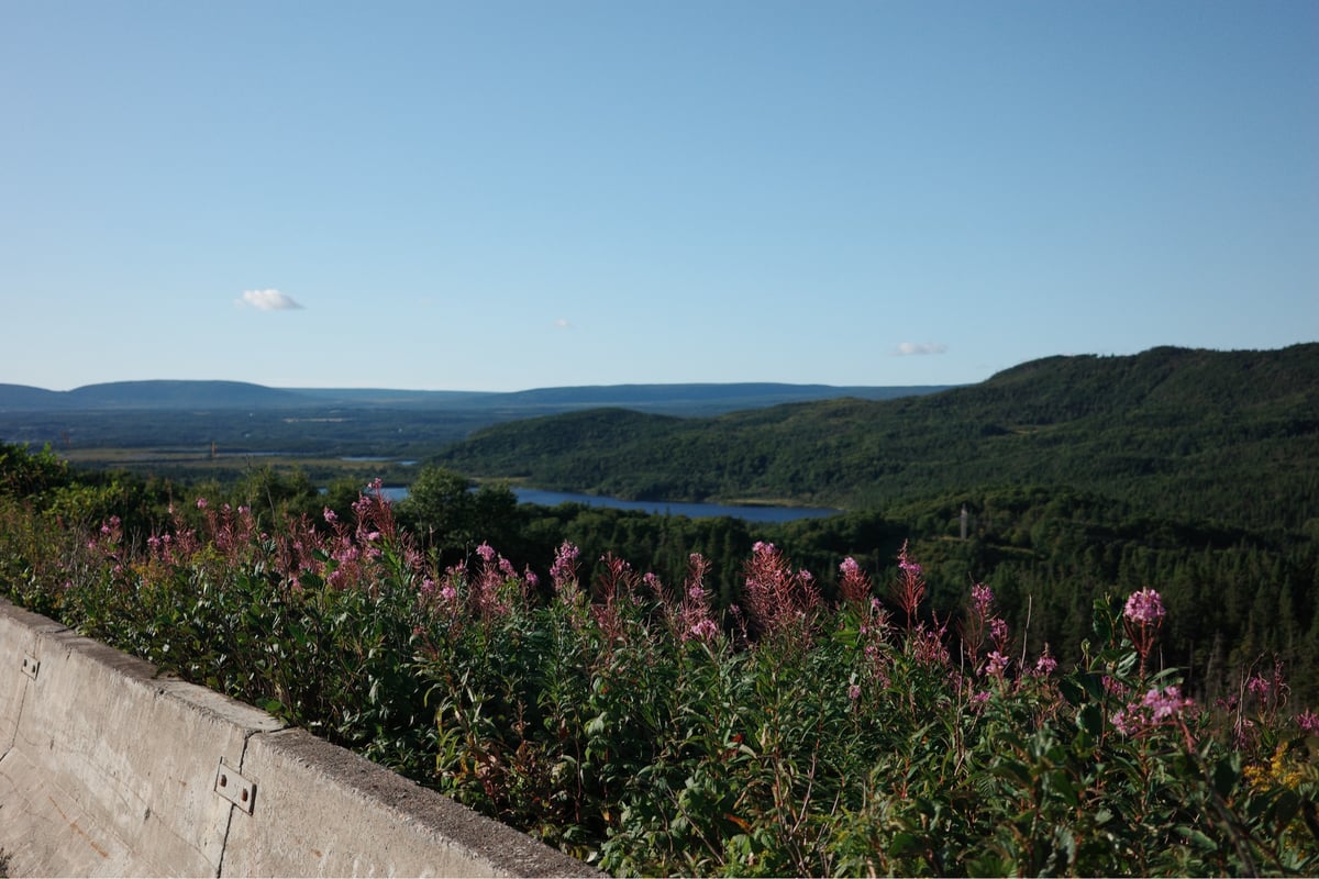 View Before Descending To Stephenville, Canada