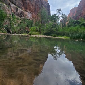 Zion National Park by David