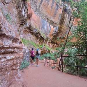 Zion National Park by David