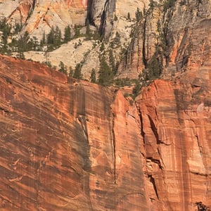 Zion National Park by David