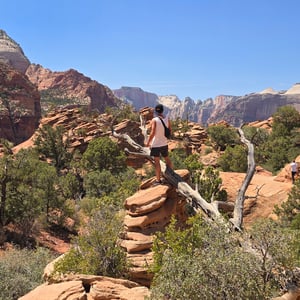 Zion National Park by David