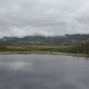 Gros Morne Views by Jeremy