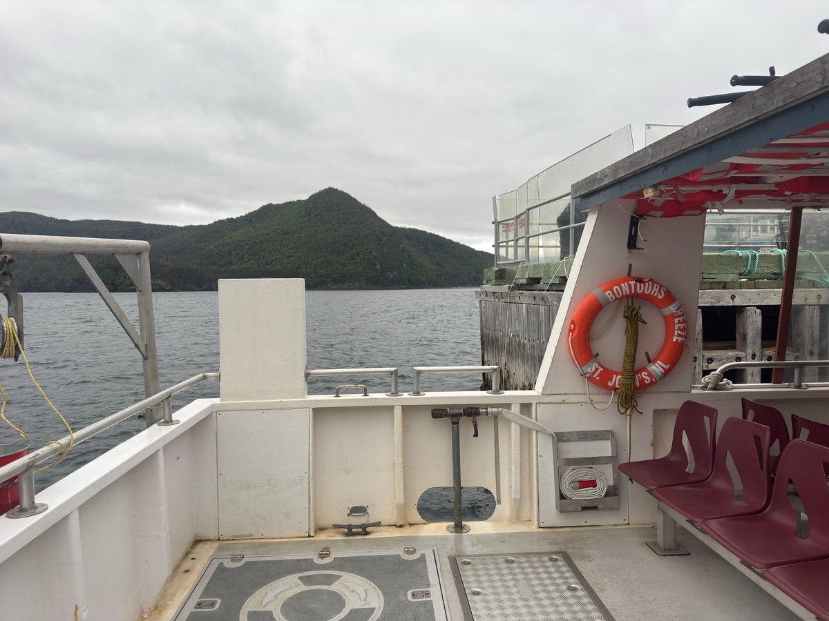 Ferry To Woody Point, Canada
