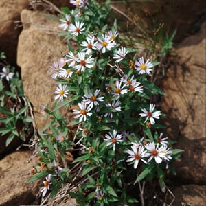 Tablelands Photos by Jeremy