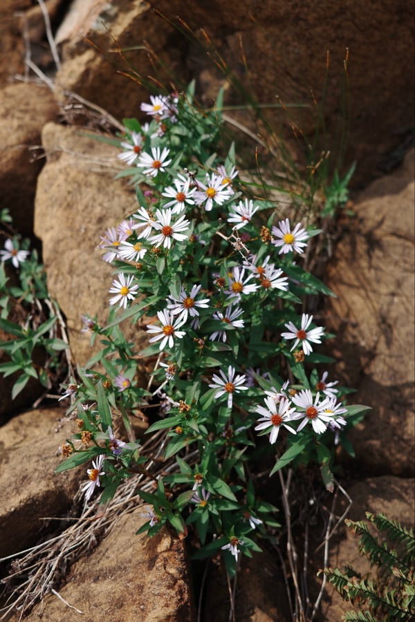 Tablelands Photos, Canada