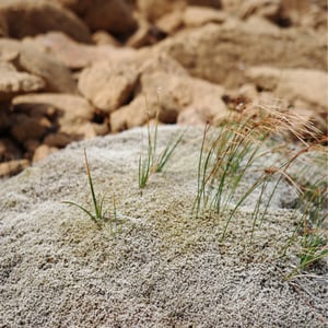 Tablelands Photos by Jeremy