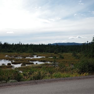 Marshlands by Jeremy