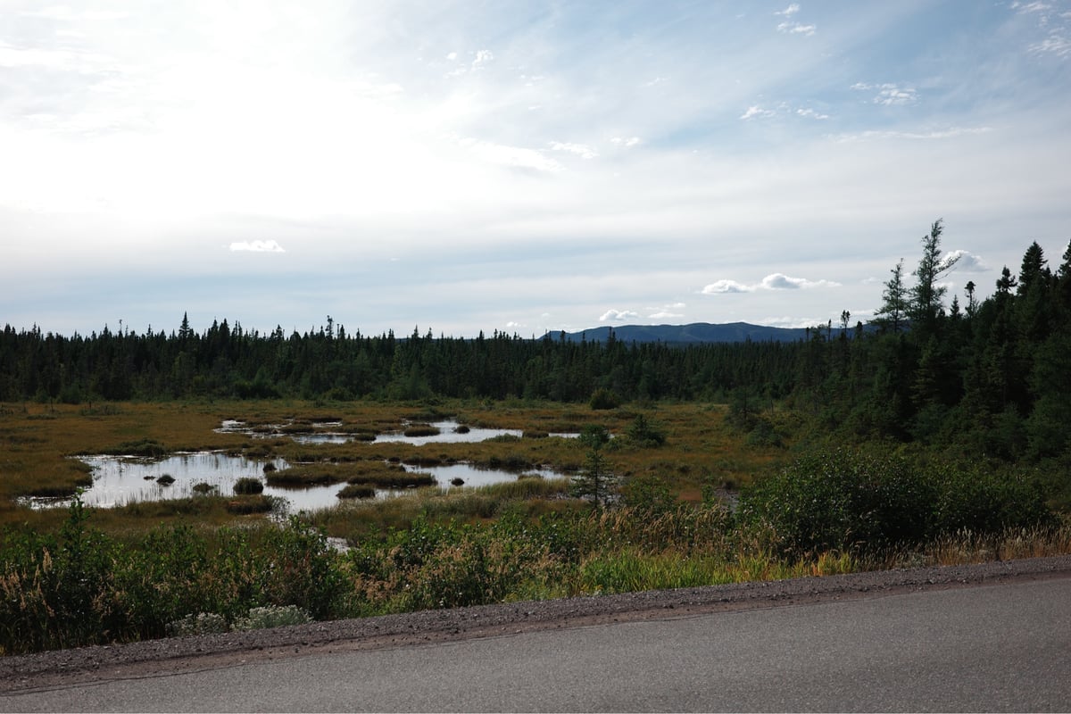 Marshlands, Canada