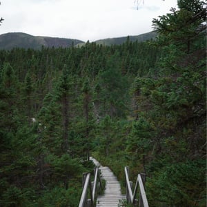 Lower Trail Photos by Jeremy