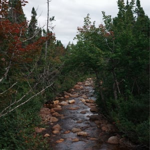 Lower Trail Photos by Jeremy