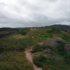 Haypook Summit by Jeremy