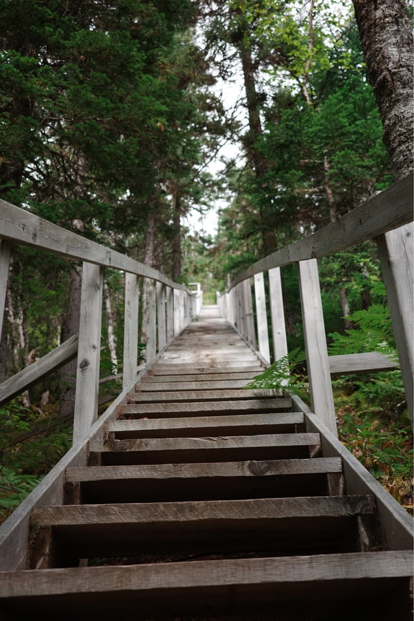 Escaleras sin fin, Canadá