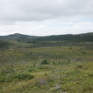 Endless Stairs by Jeremy