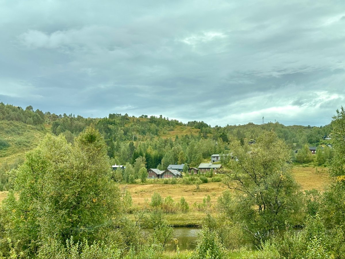 29 Aug 2025 - 11:41, Norway