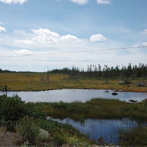Beautiful Day For A Bike Ride by Jeremy