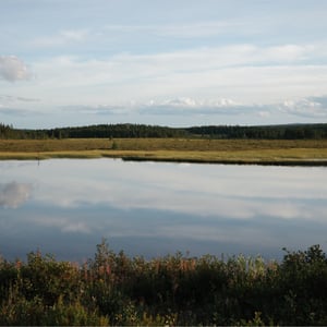 Reflections by Jeremy