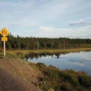 Reflections by Jeremy