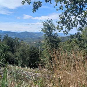 Pretty Rocky! by Lucy