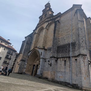 Old Oak Of Gernika by Lucy