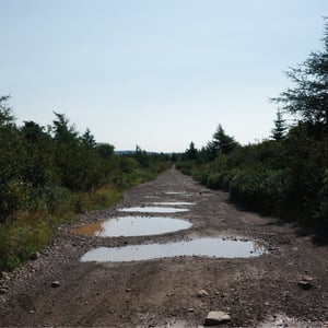 Puddles On The Trail by Jeremy